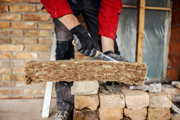 Professional Insulation Contractor in Dardanelle, AR